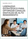 LIDERAZGO ESTRATÉGICO PARA OPTIMIZAR CANALES DIGITALES DE ALTO RENDIMIENTO