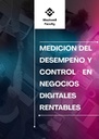 MEDICIÓN DEL DESEMPEÑO Y CONTROL EN NEGOCIOS DIGITALES RENTABLES
