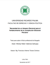 Necesidad de un Amparo Electoral para el fortalecimiento de la Jurisdicción Electoral Peruana