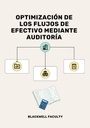 OPTIMIZACION DE LOS FLUJOS DE EFECTIVO MEDIANTE AUDITORIA