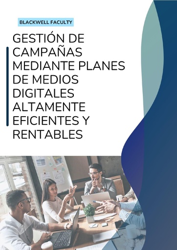 GESTIÓN DE CAMPAÑAS MEDIANTE PLANES DE MEDIOS DIGITALES ALTAMENTE EFICIENTES Y RENTABLES
