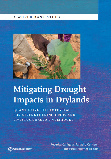 Mitigating Drought Impacts in Drylands