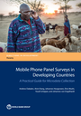 Mobile Phone Panel Surveys in Developing Countries