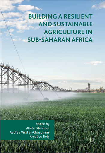 Building a Resilient and Sustainable Agriculture in Sub-Saharan Africa