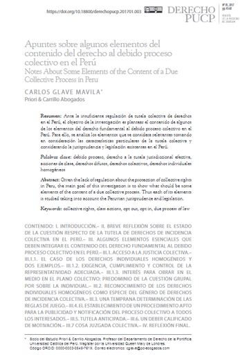 Apuntes sobre algunos elementos del contenido del derecho al debido proceso colectivo en el Perú