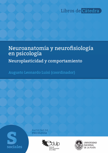 Neuroanatomía y neurofisiología en psicología