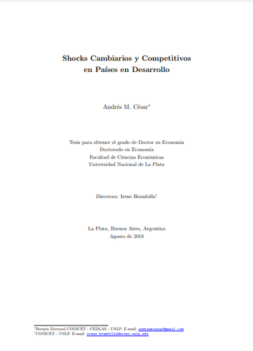 Shocks cambiarios y competitivos en países en desarrollo