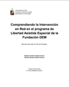 Comprendiendo la Intervención en Red en el programa de Libertad Asistida Especial de la Fundación DEM