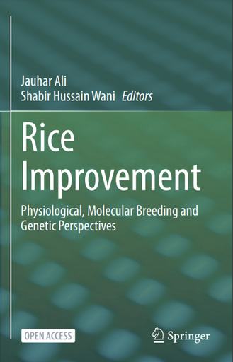 Rice Improvement