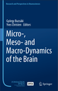 Micro-, Meso- and Macro-Dynamics of the Brain