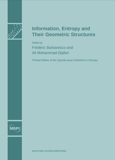 Information, Entropy and Their Geometric Structures