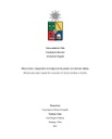 Observación y comparativa de la figura de los paneles en el derecho chileno