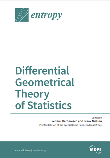 Differential geometrical theory of statistics