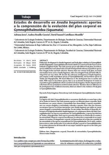 Estados de desarrollo en Anadia bogotensis