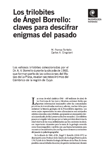 Los trilobites de Ángel Borrello: claves para descifrar enigmas del pasado