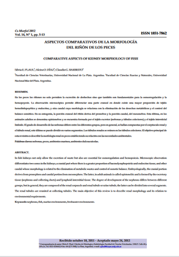 Aspectos comparativos de la morfología del riñón de los peces