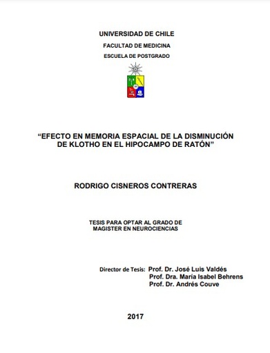 Efecto en memoria espacial de la disminución de Klotho en el hipocampo de ratón