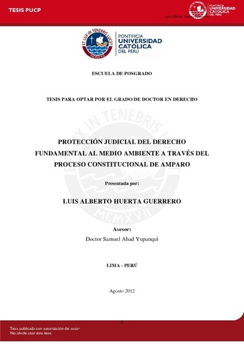 Protección judicial del derecho fundamental al medio ambiente a través del proceso constitucional de amparo