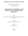 Participación y representación legislativa de afroperuanos e indígenas