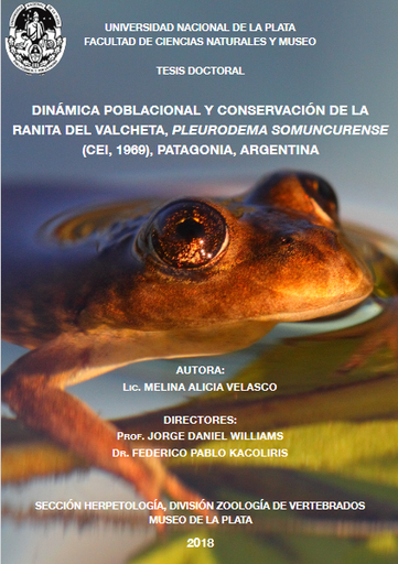 Dinámica poblacional y conservación de la Ranita del Valcheta, Pleurodema somuncurense